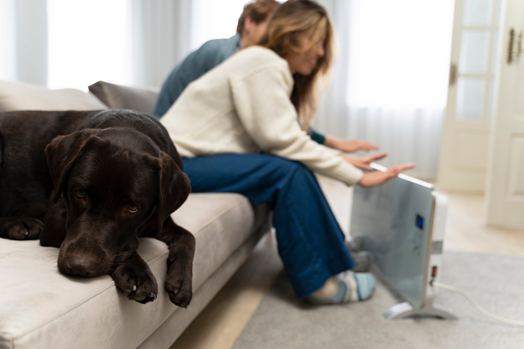 Black Labrador lounging on a couch as owners warm hands by a portable heater, symbolizing retailers’ cold experiences with rigid subscription platforms