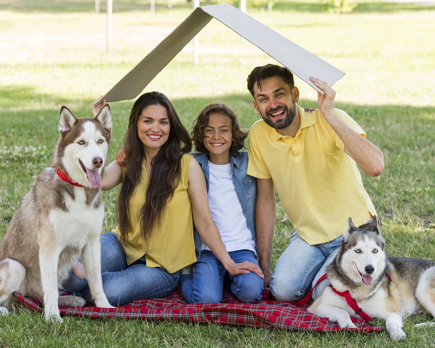 Smiling family of three sitting on a red plaid blanket in a grassy park with two Siberian huskies as parents hold a cardboard ‘roof’ overhead