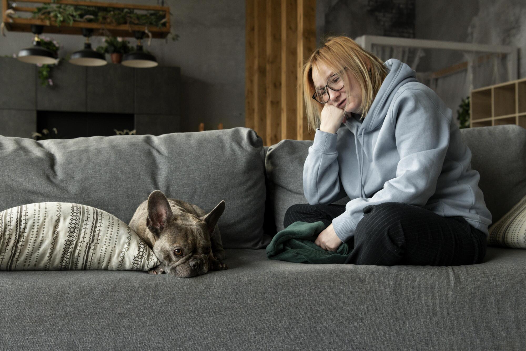 Sad French bulldog lying on a sofa beside a concerned owner, reflecting customer frustration over subscription mix-ups and missed deliveries