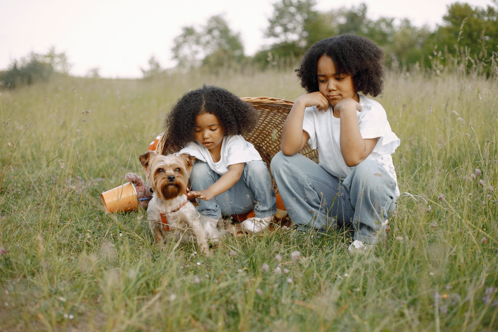 Two children sitting in a wildflower meadow next to a small terrier puppy, illustrating lackluster engagement and drop-off in automated pet deliveries