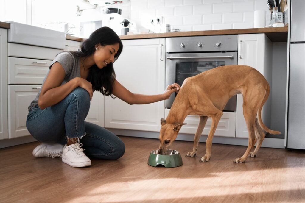 Woman kneeling on a modern kitchen floor as her dog eats from a branded green pet bowl – showcasing a happy pet feeding experience for premium dog food and accessories