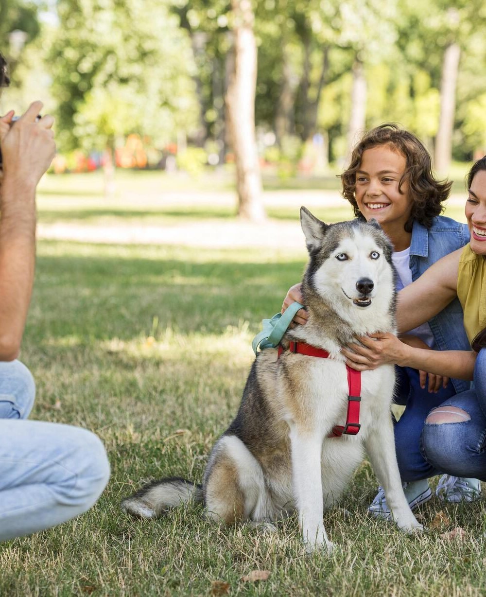 Family in a sunlit park smiling as father photographs their Siberian husky wearing a red harness, showcasing effortless pet photography for social media-ready product features